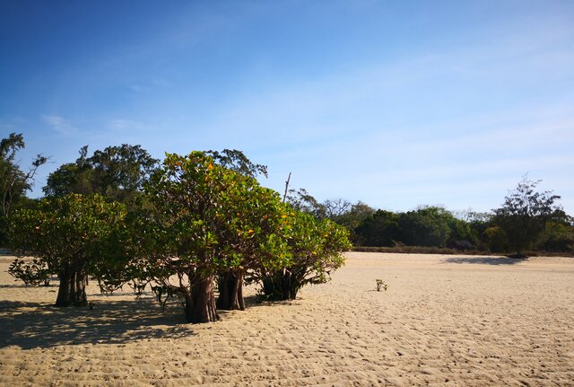 Sumba, Tanaraing, Rindi